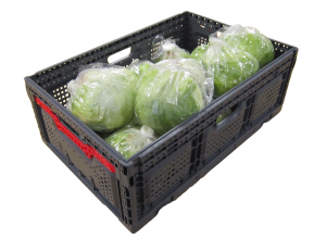 Logistics BusinessFast-fold slimline food crate range launched