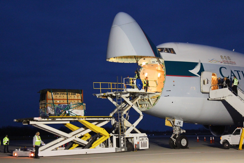 Logistics BusinessEndangered Rhinoceros Safely Arrives in Indonesia from Columbus Rickenbacker International Airport