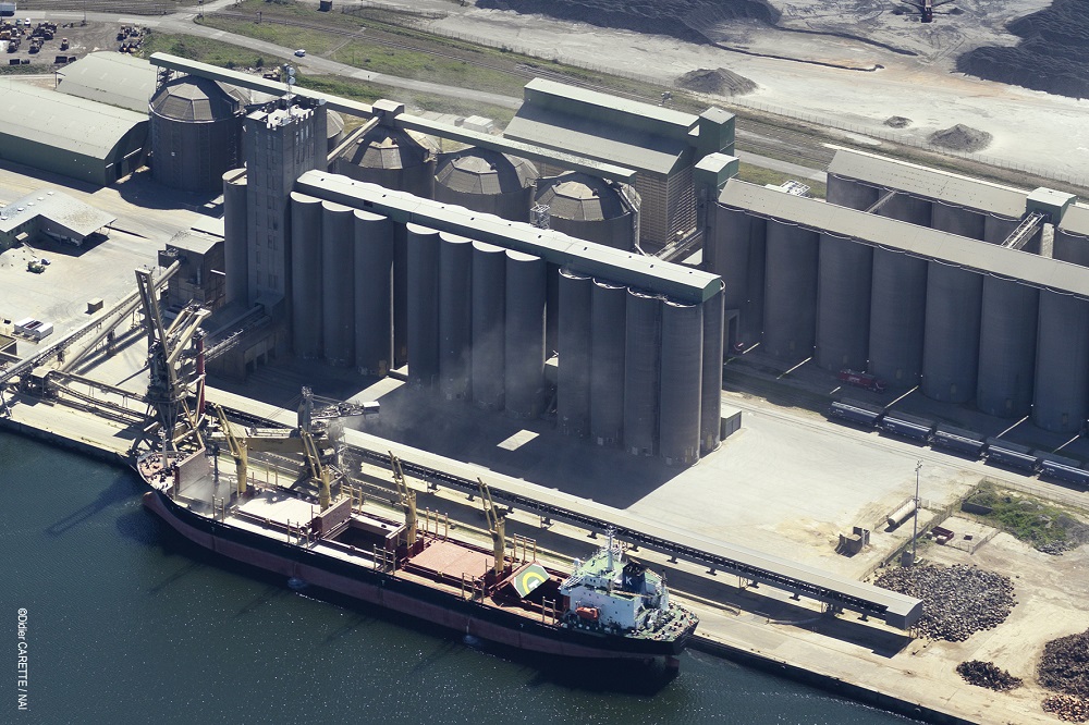 Logistics BusinessDunkerque-Port Posts New Grain Record