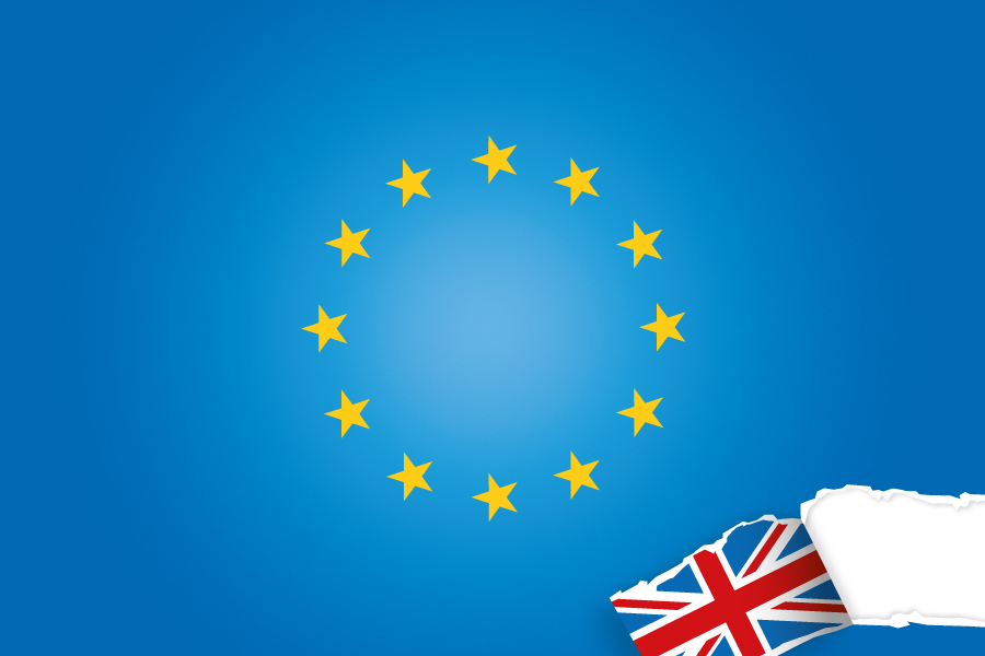 Logistics BusinessBritain Not Skilled Enough To Leave EU, Says Engineering Recruitment Expert