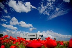 Logistics BusinessCool-Chain Provider Expands Cut-Flower Offering