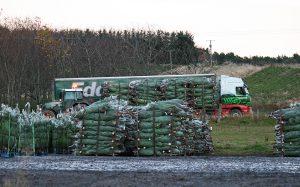 Logistics BusinessThree-Day Fulfilment Target for 650,000 Christmas Trees