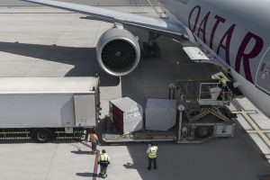 Logistics BusinessCheery Cherry Season for Qatar Airways Cargo