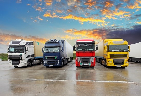 Logistics BusinessTransport and Haulage Dynamics Assessed in TMM Report