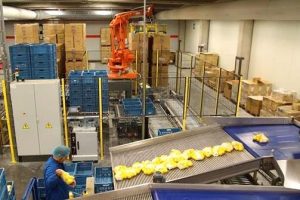 Logistics BusinessIndustry View: Quick Automation Solutions Can Solve Labour Shortage