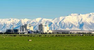 Logistics BusinessCimcorp’s MultiPick Adds the Cream for NZ Milk Producer