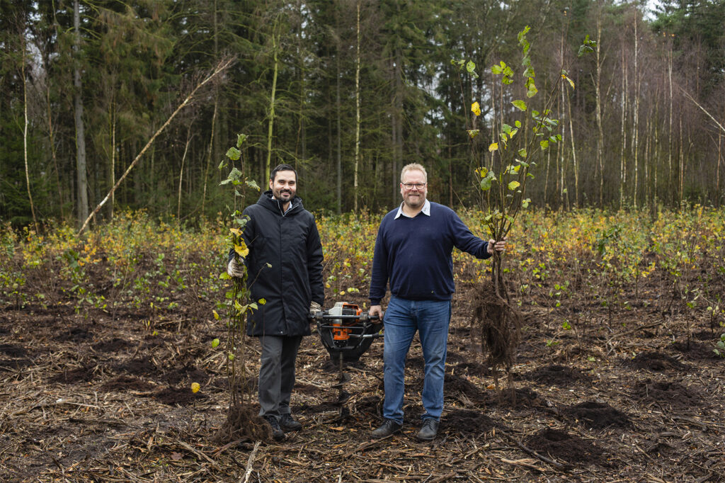 Logistics BusinessIntralogistics Provider STILL announced Reforestation Project