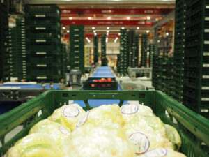 Logistics BusinessEdeka automates its fresh produce logistics