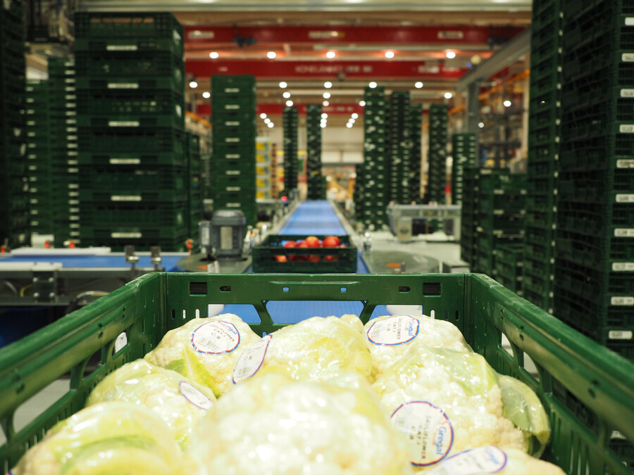 Logistics BusinessEdeka automates its fresh produce logistics