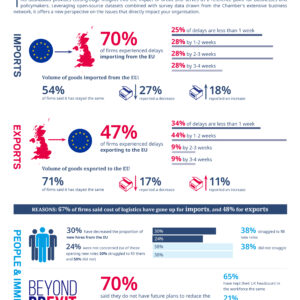 Logistics Business70% of businesses experience Brexit delays