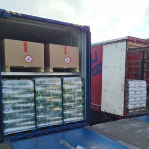 Mooij introduces double-floor containers