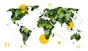 Logistics BusinessTransporeon report: the road to net zero