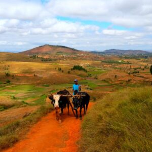 transaid-project-madagascar-leaves-lasting-legacy