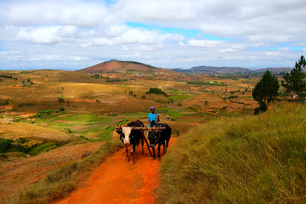 Logistics BusinessTransaid project in Madagascar leaves lasting legacy