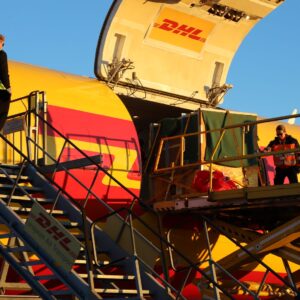 dhl-flies-gorilla-new-london-home
