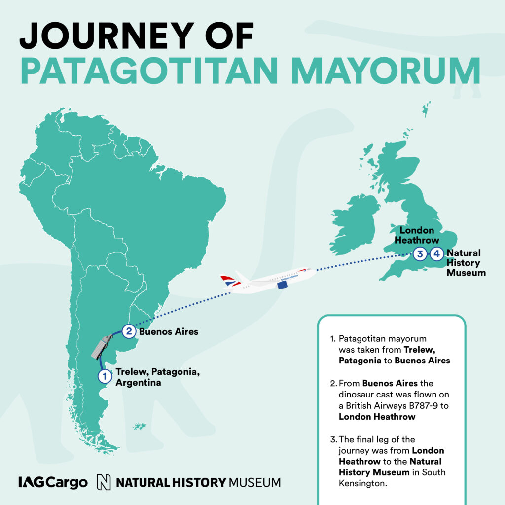 Logistics BusinessTitanosaur Skeleton Flown from Argentina to UK