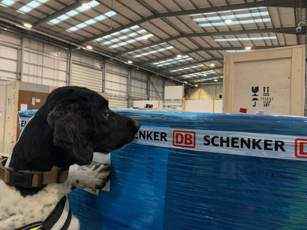 Logistics BusinessDetection Dogs have Nose for Prohibited Cargo