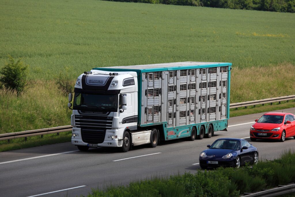 Logistics BusinessLive Animal Transport: EU Tables Improved Conditions