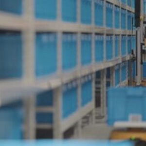 Chinese Robot Partnership
