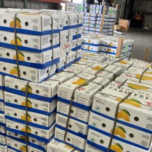 AA Cargo Mango