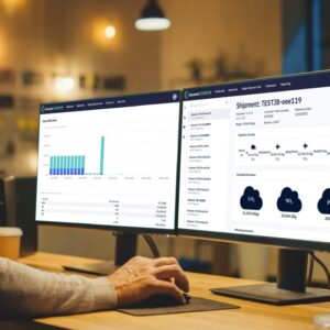 Real-Time Cargo Insurance