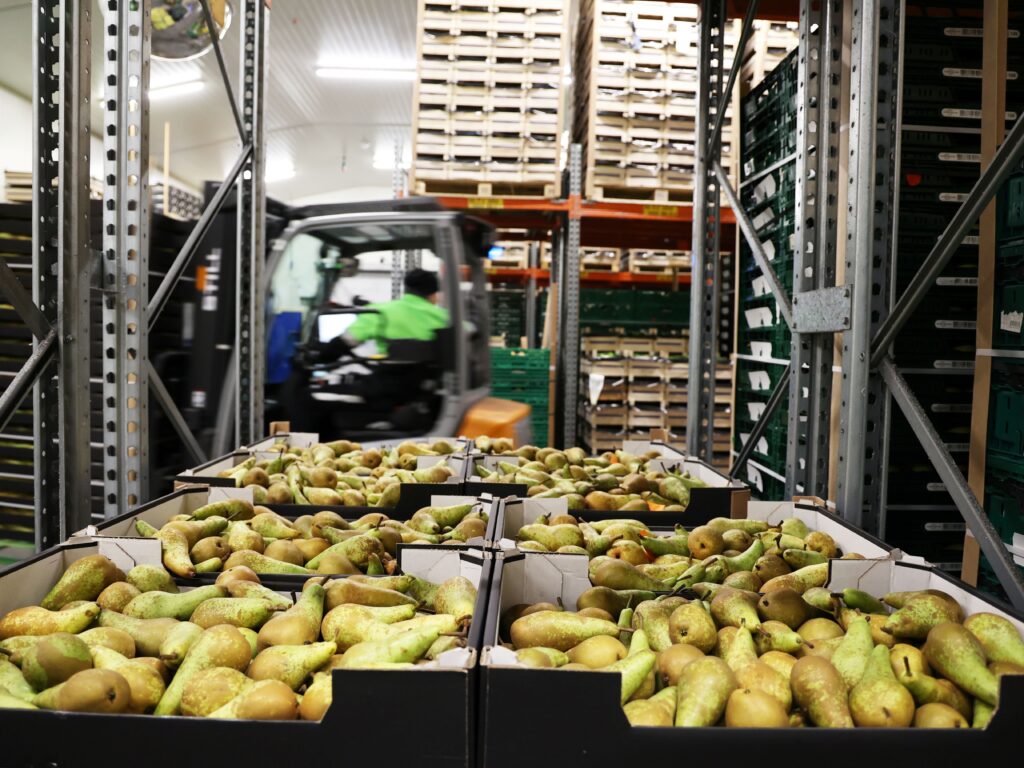 Fruit Storage