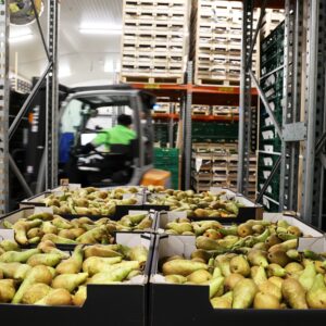 Fruit Storage